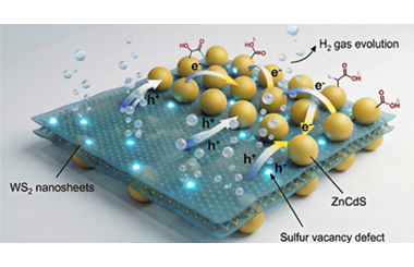 Defect-enhanced charge separation in ZnCdS/WS2 S-scheme heterojunctions: Engineering sulfur vacancies to facilitate photocatalytic H2 production  2026.100960
